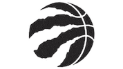 nba finals raptors Sticker by EliteSportsTours