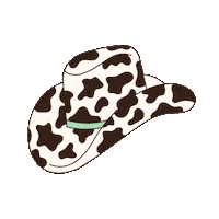 TheSlowRodeo hat cowboy western cowboyhat Sticker