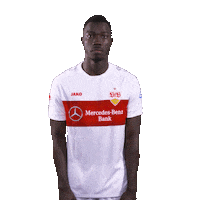Quiet Please Silas Sticker by VfB Stuttgart