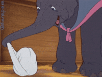 Birthday Surprise GIF