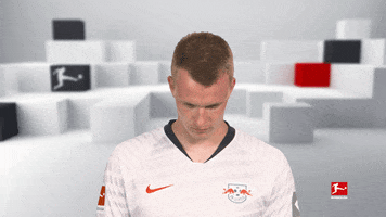 Happy Red Bulls GIF by Bundesliga