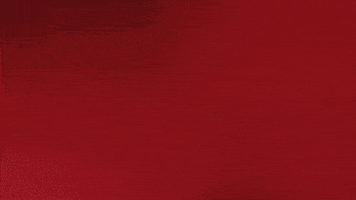 Proud France GIF by Bundesliga