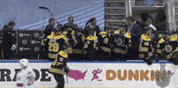 Celebrate Ice Hockey GIF by NHL