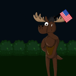 Independence Day Nft GIF by DoYouMoose