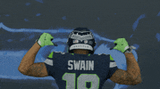 American Football GIF by Seattle Seahawks