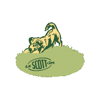 Dog Puppy Sticker by OM Scott and Sons