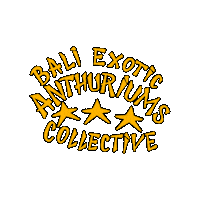 baliexoticanthuriums beac baliexoticanthuriums anthuriums exoticplants Sticker