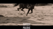 Gina Carano Run GIF by Signature Entertainment