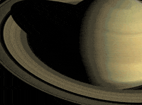 planet sub dog GIF by Nebraska Humane Society
