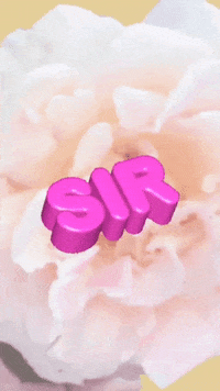 John Sullivan Text GIF