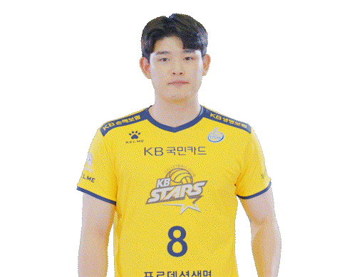 Kb스타즈 Sticker by KB STARS VOLLEYBALL CLUB
