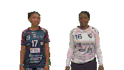 Celebration Handball Sticker by mhb33