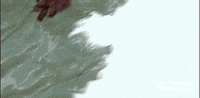 sea otter mom GIF by Monterey Bay Aquarium