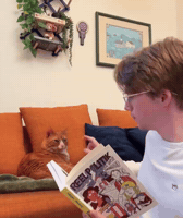 Heat Wave Fan GIF