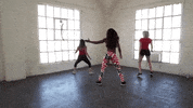 Twerking GIF by Hip Shake Fitness