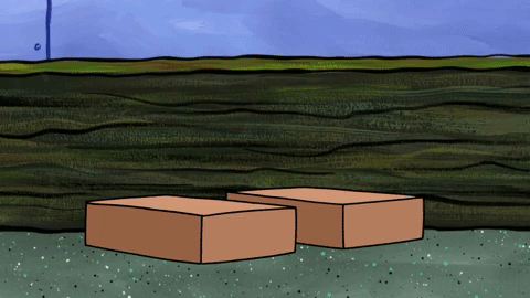 season 9 episode 10 GIF by SpongeBob SquarePants