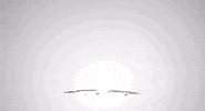 Stan Marsh Colorado GIF by South Park