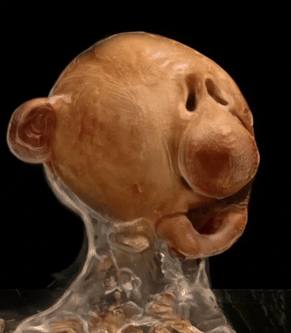 Walking Bread GIF by Alex Boya