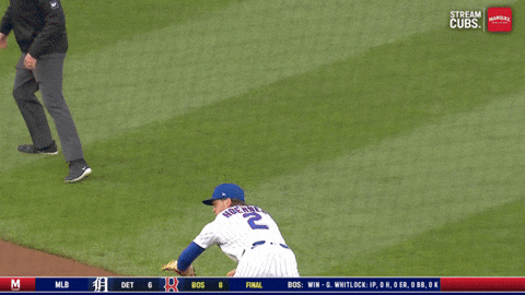 Major League Baseball GIF