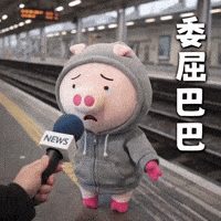 豬 GIF