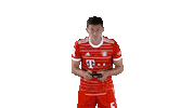 Video Games Football Sticker by FC Bayern Munich