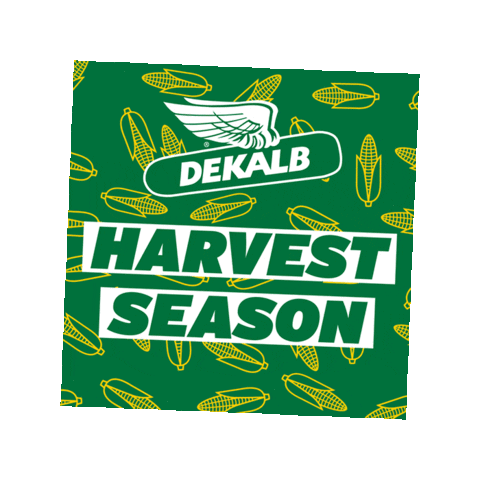 Corn Harvest Sticker by DEKALB Asgrow Deltapine