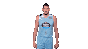 Celebrate Liga Endesa Sticker by ACB