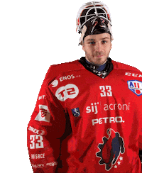 Hockey Goaly Sticker by HDD SIJ Acroni Jesenice