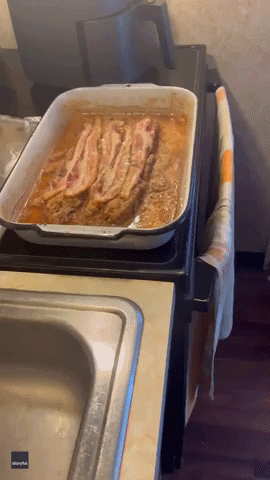 Daughter Catches Dad Making Turkey Dinner for Dog