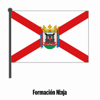 Flag Spain GIF by Formación Ninja