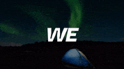 NOBEARS nobears GIF