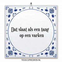Humor Wijsheid GIF by Tegelspreuken.nl