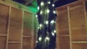 Hc2020Clients-Christina-Y-Mabs GIF by FlyWheel Partners
