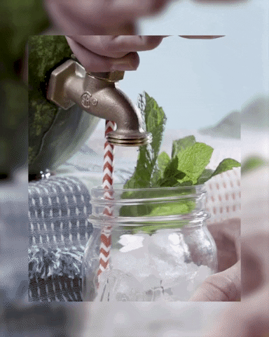 happy hour watermelon GIF by evite