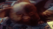 christmas movies gremlins GIF