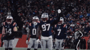 Get Loud Football GIF by New England Patriots