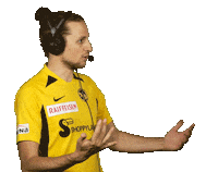 Bsc Young Boys Switzerland Sticker by Radio Gelb-Schwarz