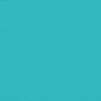 cat stars GIF by Mitteldeutscher Rundfunk