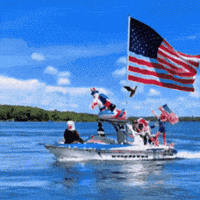 United States Usa GIF by Respective