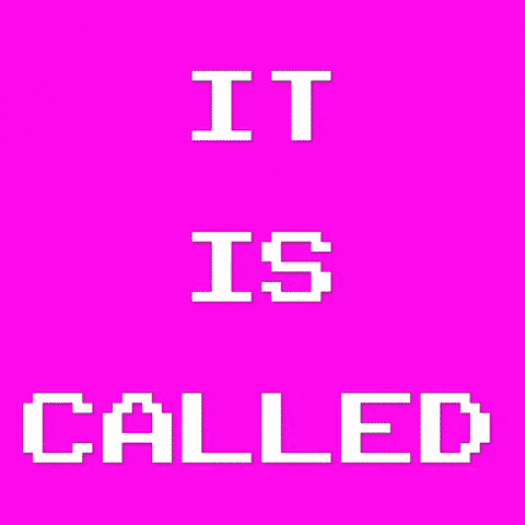 Girls Bunnies GIF by Komplex