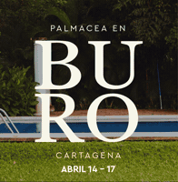 GIF by Palmacea Swimwear