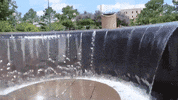 oklahoma GIF