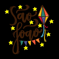 josidesigner balao saojoao festajunina mineiro GIF