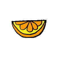 slice of life orange Sticker by Aerie
