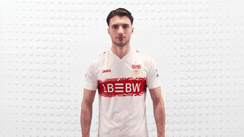 Vfb Stuttgart Love GIF by Bundesliga