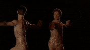 royaloperahouse within the golden hour GIF
