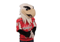 Ice Hockey Whatever Sticker by NHL