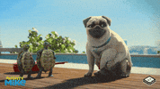 boomerangtoons happy funny fun cute GIF