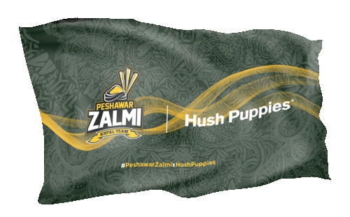 HushPuppiesPK giphyupload flag zalmi hushpuppies Sticker