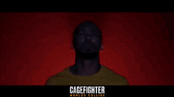 Mixed Martial Arts Fight GIF by Indiecan Entertainment Inc.